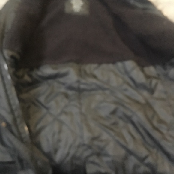 American eagle - Picture 2 of 3